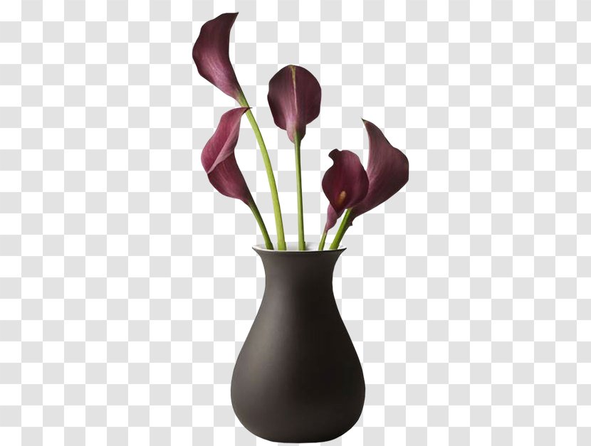 Cut Flowers Vase Television Blume - Flowering Plant Transparent PNG