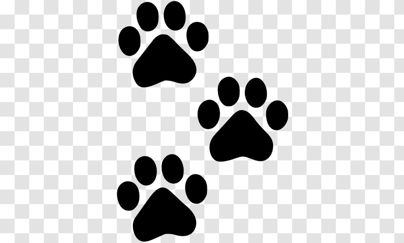 Cat Pet Sitting Dog Paw Animal Track Transparent PNG