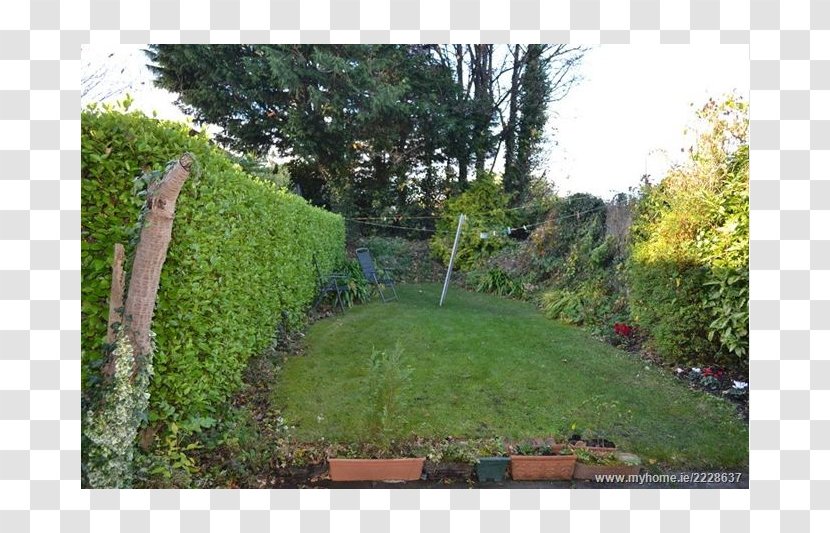 Hedge Property Land Lot Grasses Walkway - Yard - House Love Transparent PNG