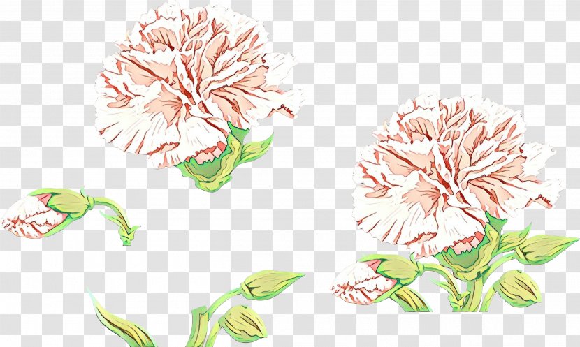 Chrysanthemum Floral Design Drawing Cut Flowers Illustration - Flower - Plant Transparent PNG
