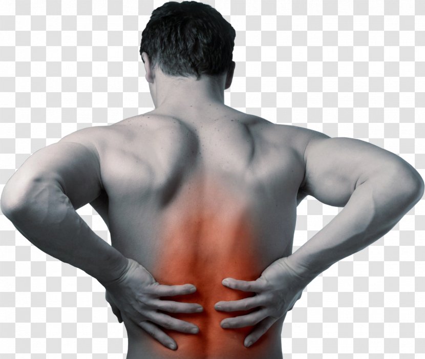 Low Back Pain Physical Therapy Management - Flower Transparent PNG
