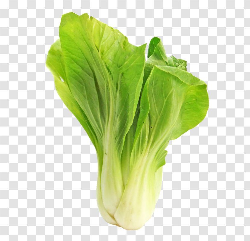 Vegetarian Cuisine Bok Choy Chinese Cabbage Vegetable Brussels Sprout - Nutritious And Delicious Transparent PNG