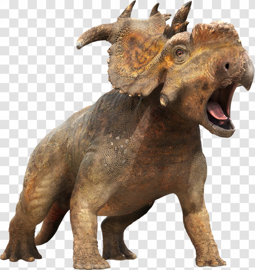 Pachyrhinosaurus Scowler Dinosaur Triceratops Carnotaurus - Terrestrial Animal - Pamela Anderson Transparent PNG