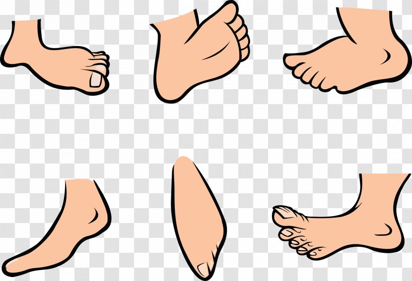 Foot Cartoon Royalty-free Clip Art - Tree - Funny Feet Cliparts Transparent PNG