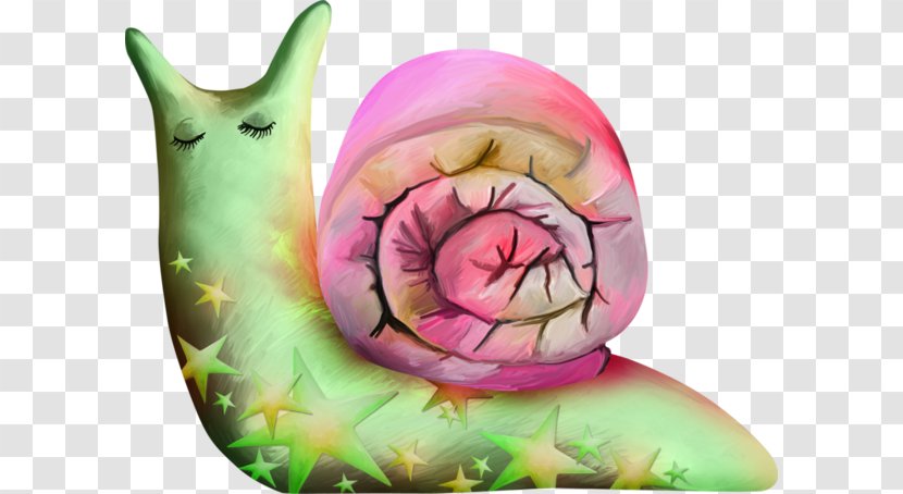 Escargot Orthogastropoda Clip Art - Pink - Watercolor Snail Transparent PNG