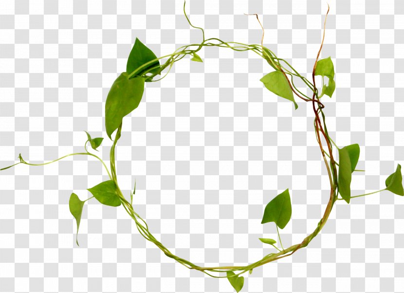 Twig Leaf Image Branch - Grass - Simple Frame Transparent PNG