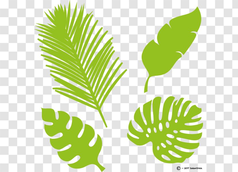 Leaf Tropics Plant Stem Xanarchy Image Transparent PNG