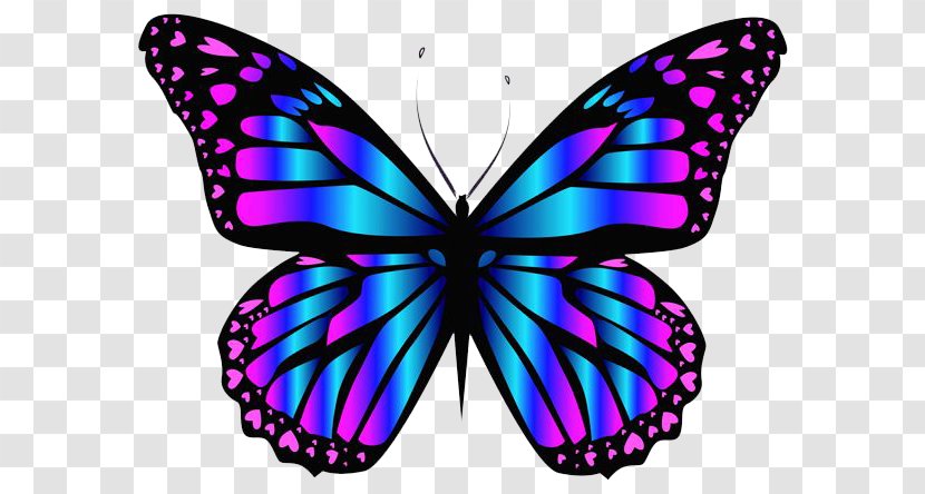 Butterfly Purple Blue Color Clip Art - Monarch Transparent PNG