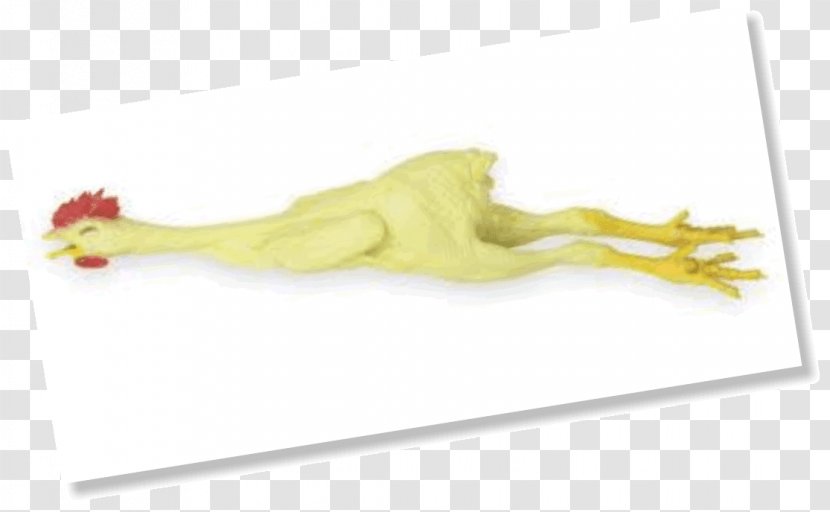 Rubber Chicken Organism Natural Transparent PNG