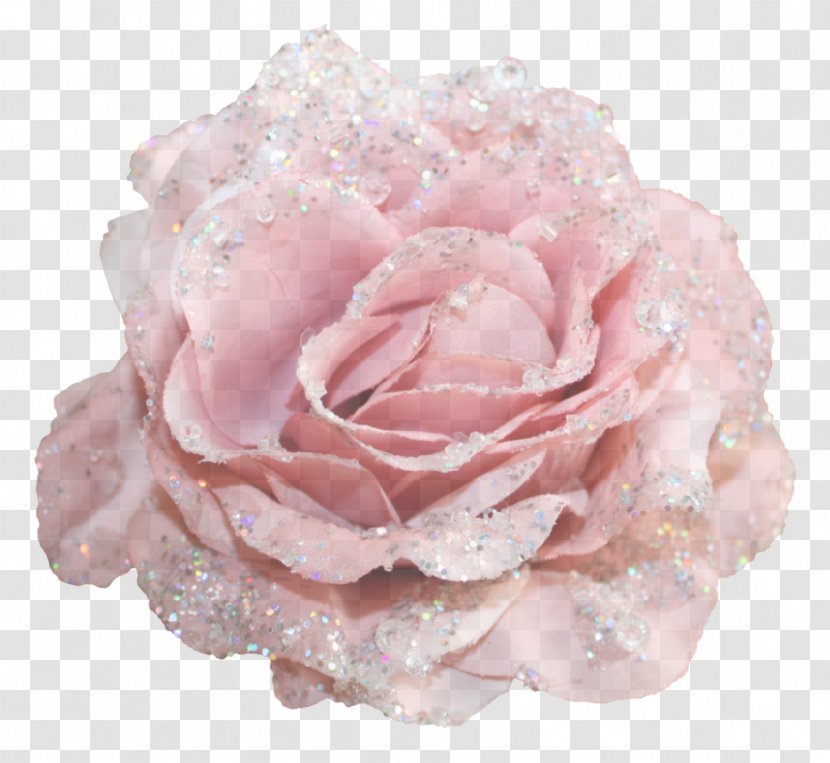 Garden Roses - Cut Flowers - Rose Order Transparent PNG