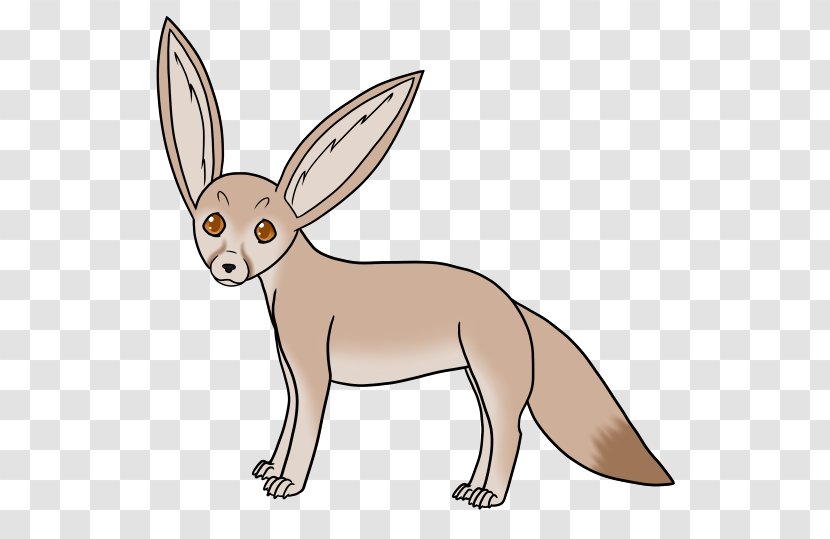 Hare Red Fox Domestic Rabbit Fennec Canidae - Animal Transparent PNG