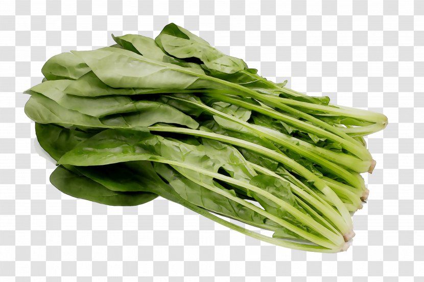 Spinach Vegetarian Cuisine Spring Greens Komatsuna Rapini - Food - Leaf Vegetable Transparent PNG