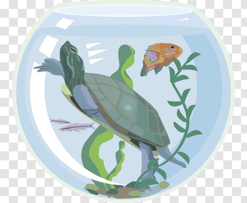 Sea Turtle Aquarium Pet Clip Art - Organism - Fish Tank Transparent PNG