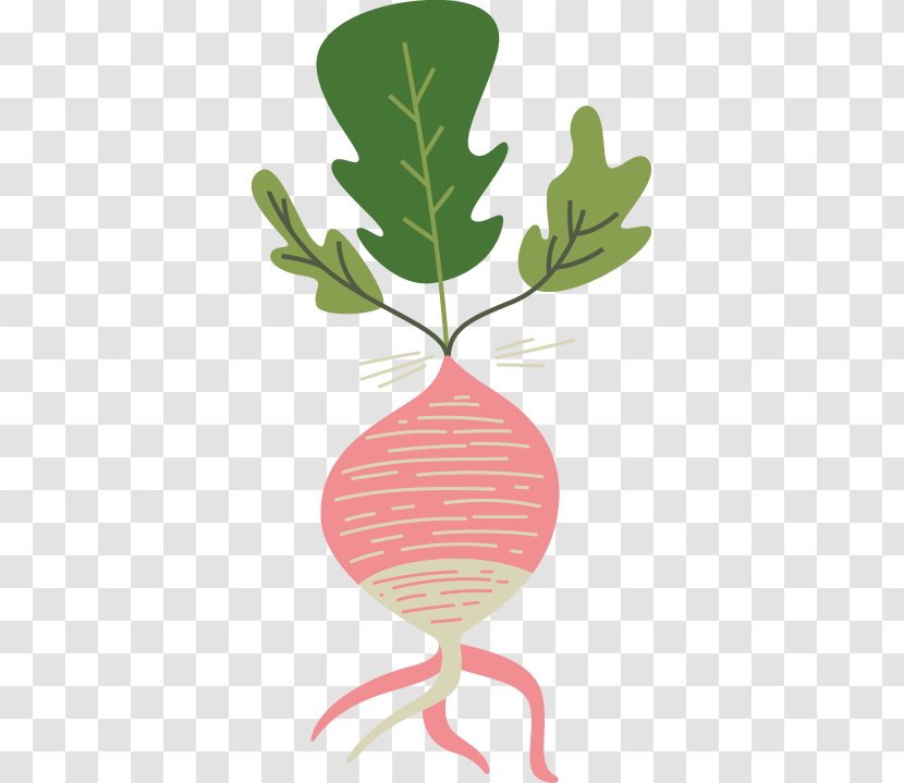 Vegetable Euclidean Vector Clip Art - Plant Stem - Carrot Transparent PNG