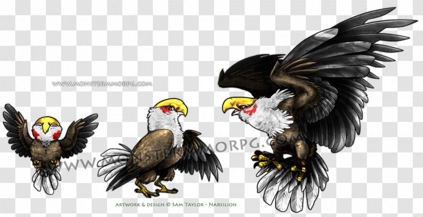 MonsterMMORPG Bald Eagle Artist DeviantArt - Bird Of Prey - Western Kurti Design 2018 Transparent PNG
