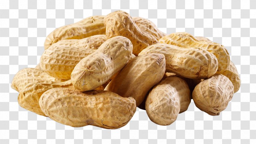 Birdsong Peanuts Tree Nut Allergy Legume - Frame - Peanut Transparent PNG