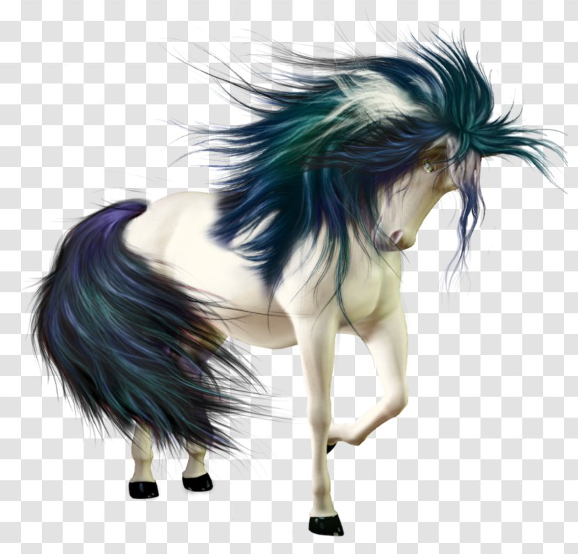 Horse Mare Diary Animal Blog - Black Hair Transparent PNG