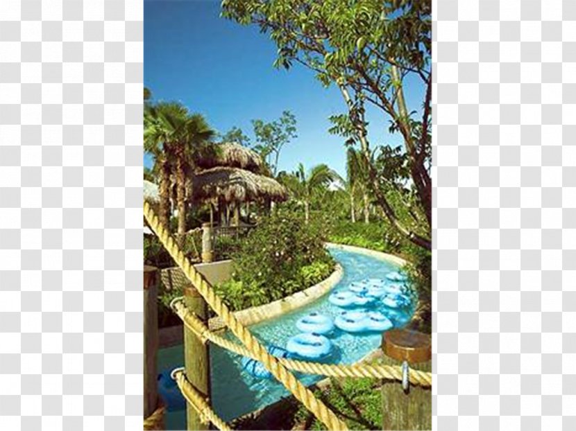 Hyatt Residence Club Bonita Springs, Coconut Plantation Swimming Pool Resort - Leisure - Hotel Transparent PNG