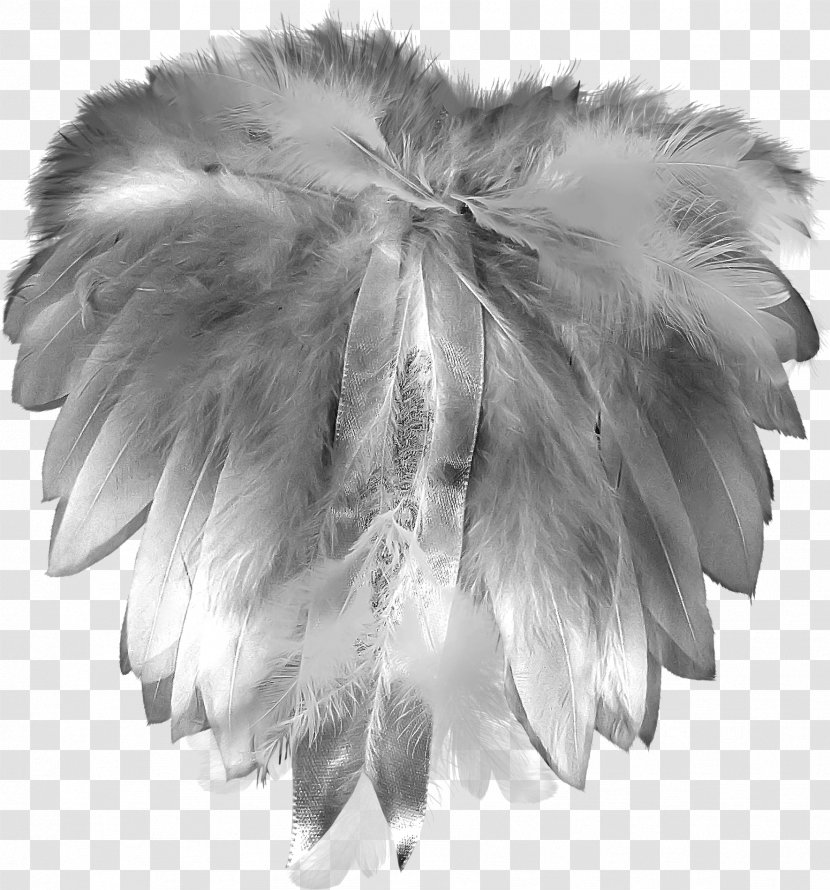 Feather Grey Plumage Gratis - Fur - Pretty Creative Transparent PNG
