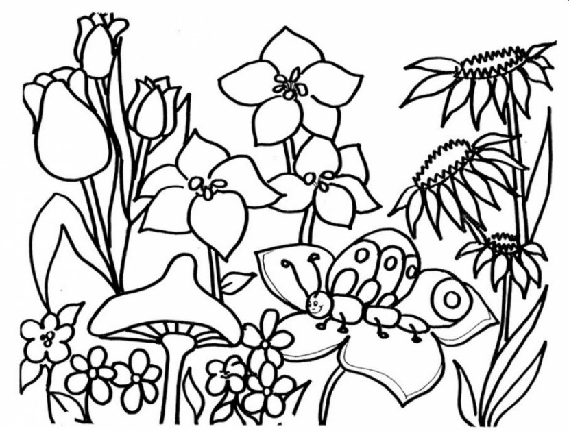 Coloring Book Ruth Heller's Animals Flower Adult Child - Frame - Get Well Images Free Transparent PNG