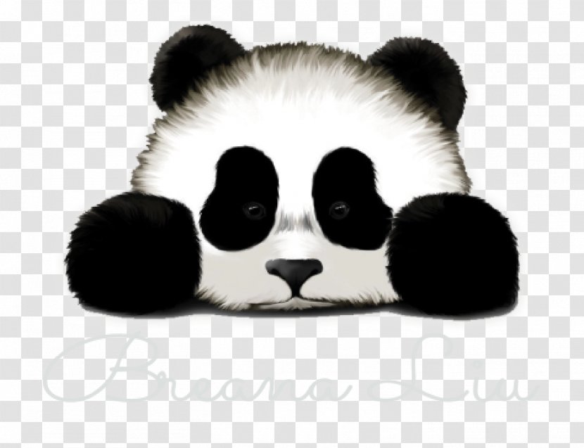 Giant Panda Sadness Cuteness T-shirt Drawing - Art Transparent PNG