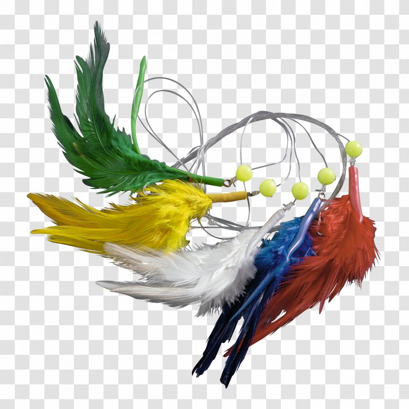 Bird Feather Macaw Beak Wing - Mackerel Transparent PNG