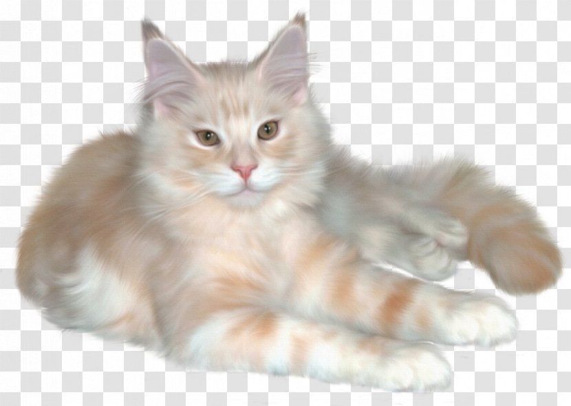 Persian Cat Kitten Pet Sitting Clip Art - Siberian - Cats Transparent PNG