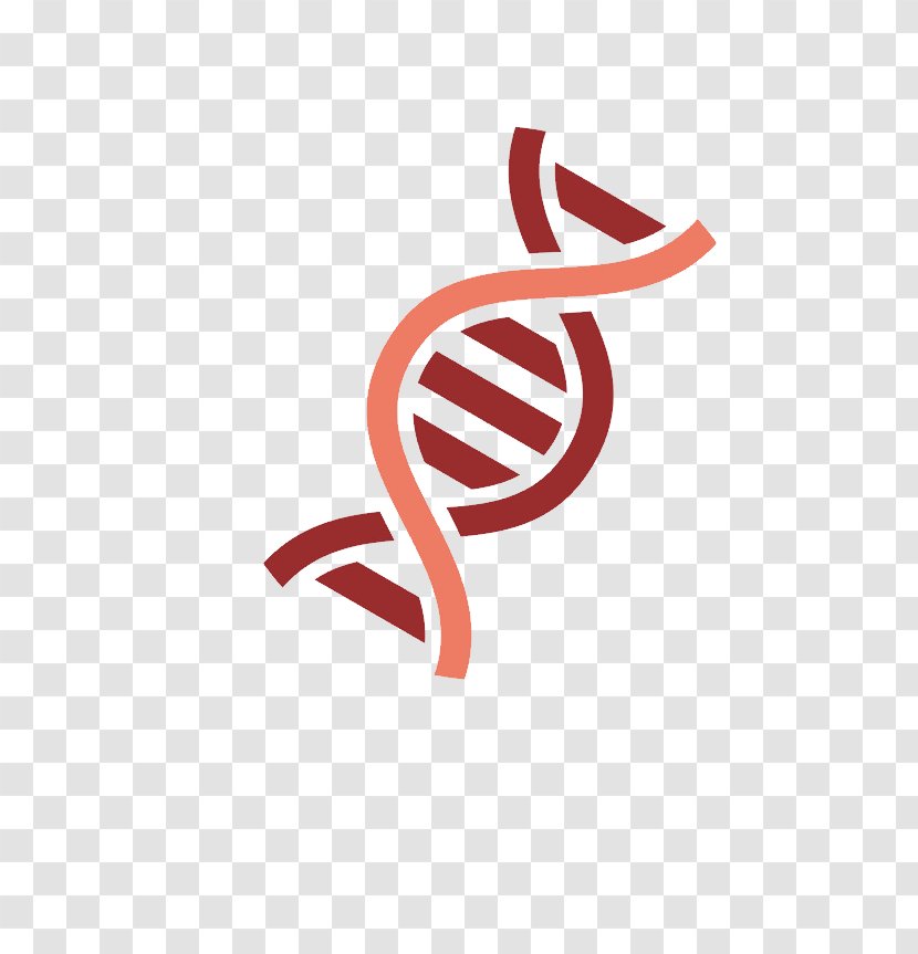 Gene DNA Nucleic Acid Double Helix - Dna Phenotyping Transparent PNG