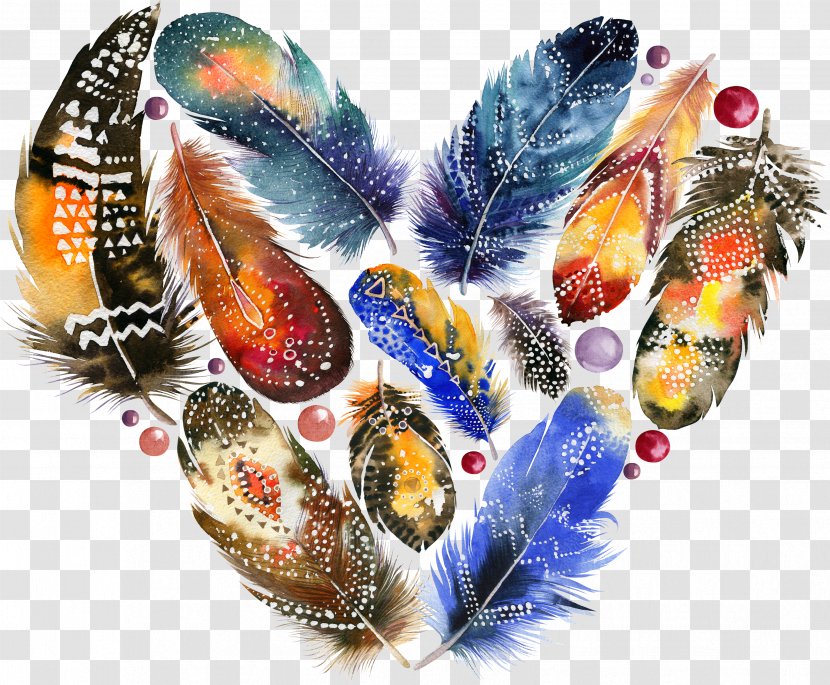 Boho-chic Stock Photography Feather Watercolor Painting Illustration Transparent PNG