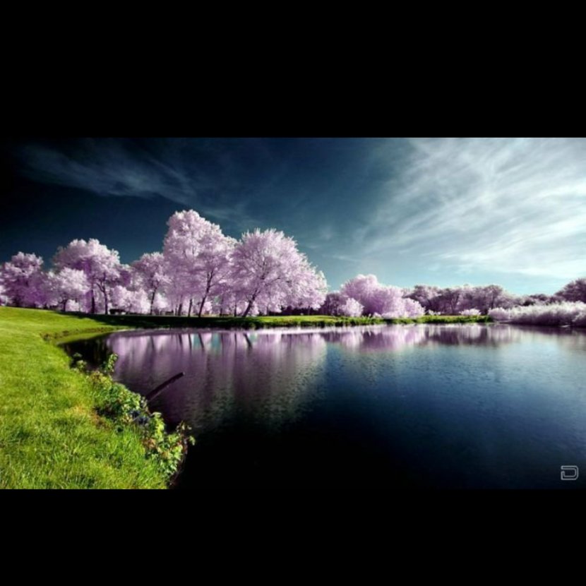 Nature Photography Photographer - Water - Scenery Transparent PNG