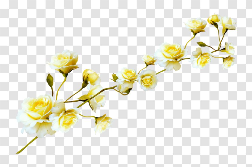 Flower Clip Art - Spring - Parterre Transparent PNG