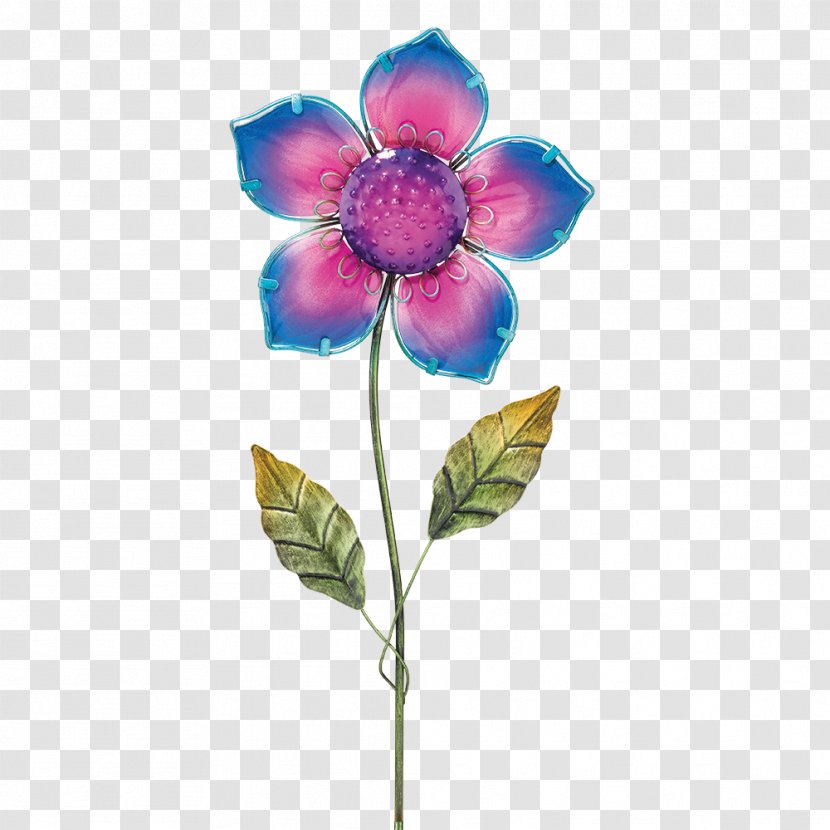 Flower Garden Purple Common Daisy - Rose Order Transparent PNG