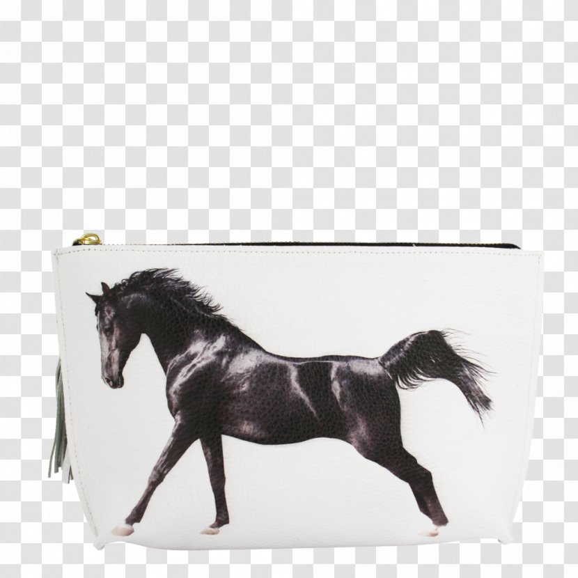 Arabian Horse Akhal-Teke Stallion Gallop Black - Equestrian - Horsehead Printing Transparent PNG