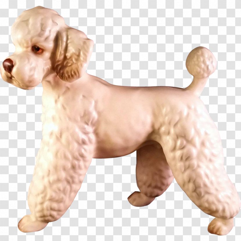 Standard Poodle Miniature Toy Limoges Porcelain - Companion Dog - Puppy Transparent PNG