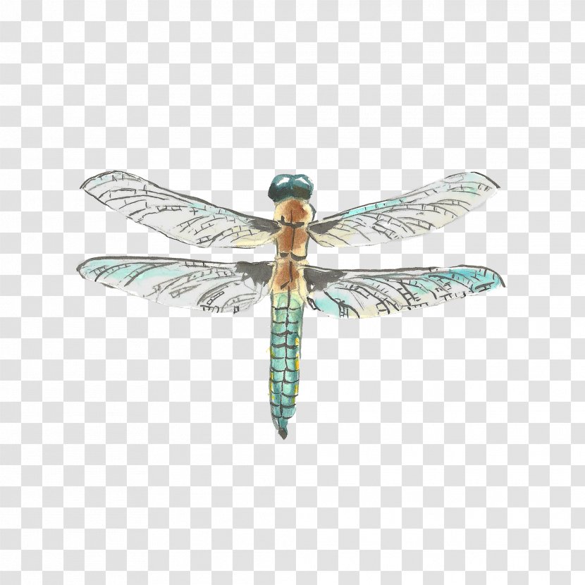 Dragonfly Watercolor Painting Drawing - Insect Transparent PNG