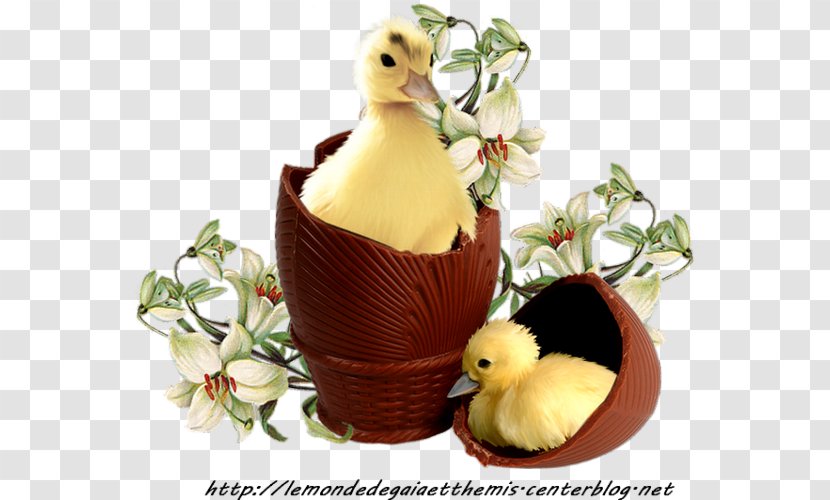 Duck Easter Bunny Egg Decorating Transparent PNG