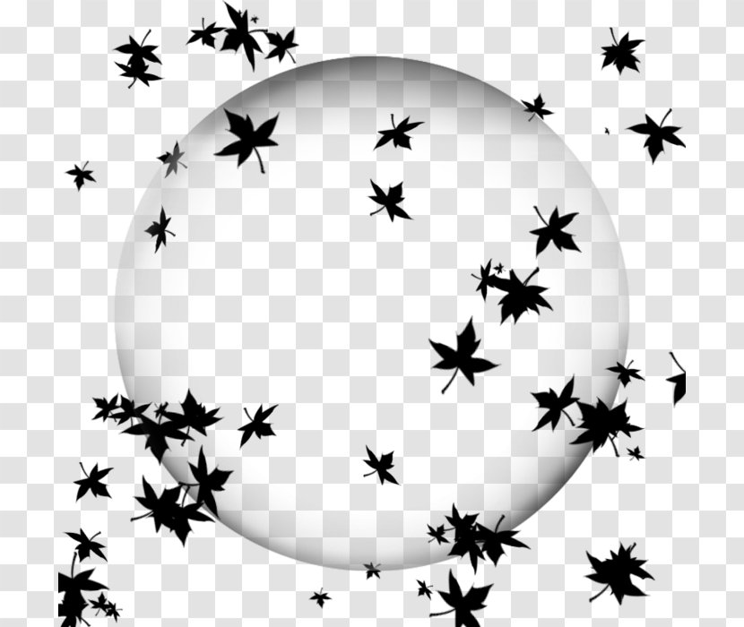 Ball Black And White Pattern - Pollinator Transparent PNG