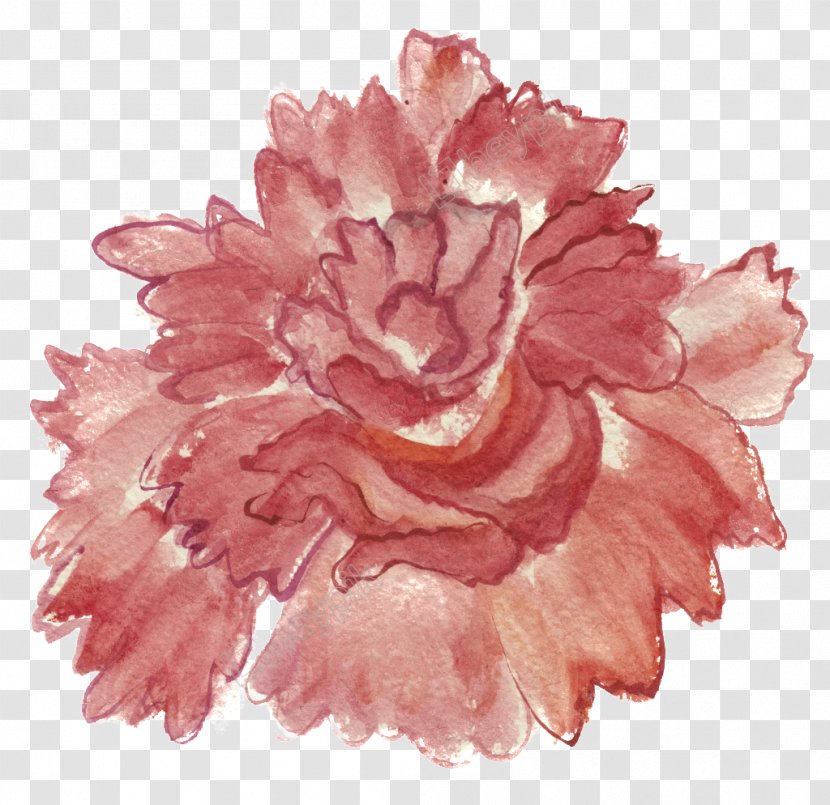 Watercolor: Flowers Watercolor Painting Peony Rose - Dianthus Transparent PNG