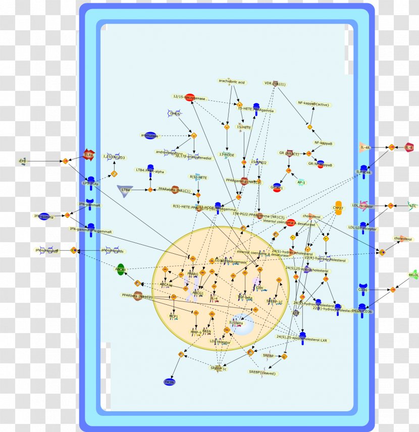 Line Point Diagram Transparent PNG