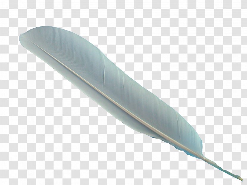 Bird Feather Archaeopteryx Clip Art - Feathers Transparent PNG