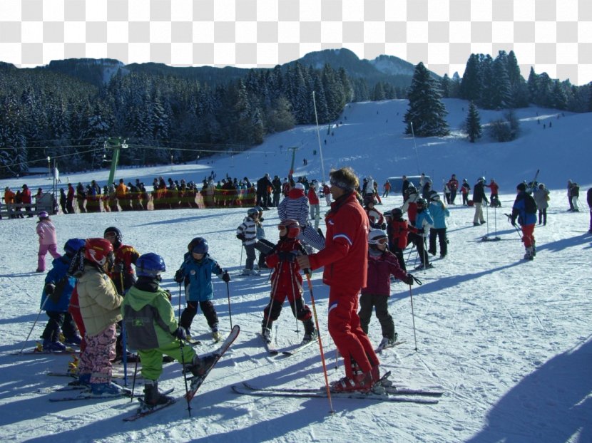 Skiing Ski School Winter Sport Snowboarding Transparent PNG