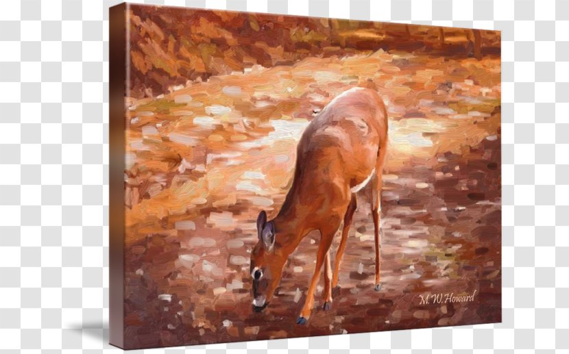 Impala Deer Gazelle Antler Painting Transparent PNG
