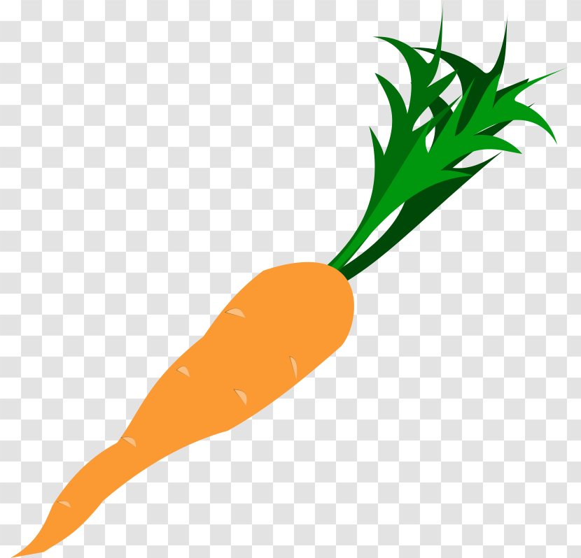 Baby Carrot Vegetable Clip Art - Organism - Halloween Candy Clipart Transparent PNG
