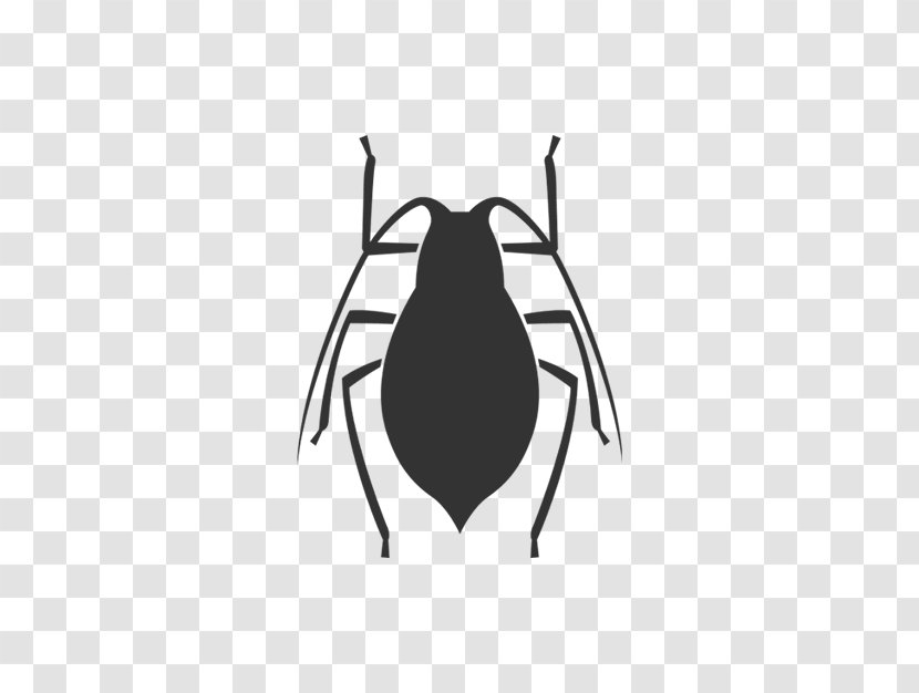 Apache Cassandra Computer Software Pest Bug Malware - Java - Buffalo Zoo Transparent PNG