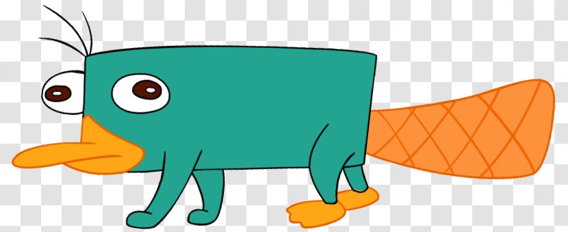 Perry The Platypus Phineas Flynn Ferb Fletcher - Beak - Organism Transparent PNG