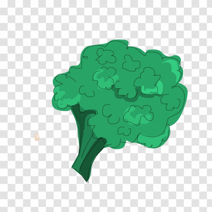 Food Broccoli Cauliflower - Green Transparent PNG