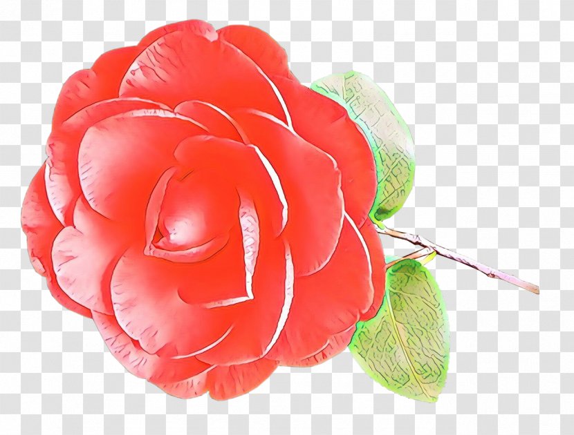 Pink Flower Cartoon - Plant - Floribunda Flowering Transparent PNG
