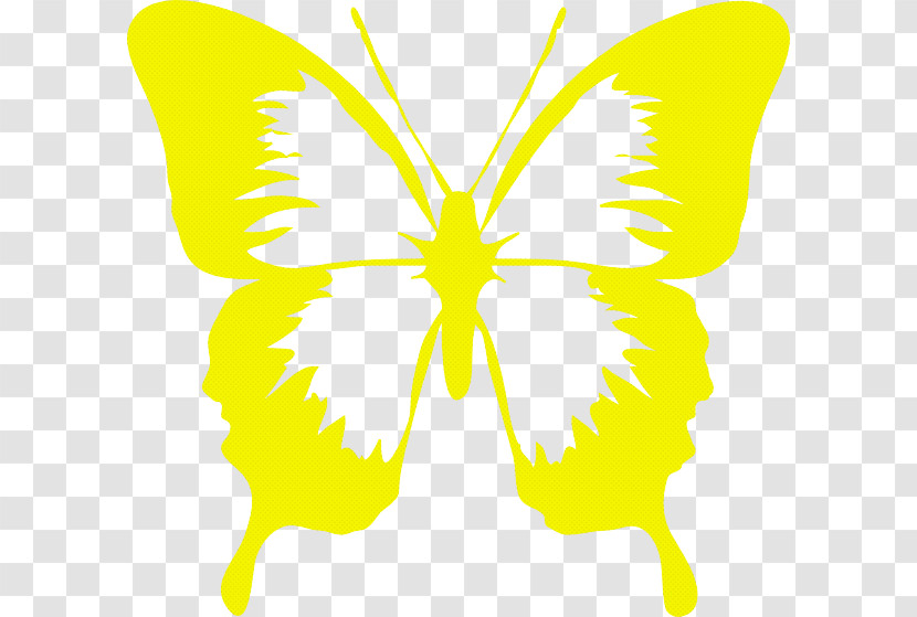 Yellow Butterfly Symmetry Leaf Moths And Butterflies Transparent PNG