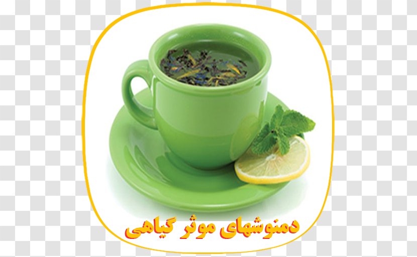 Green Tea Nutrient Health Drinking - Mate Cocido Transparent PNG
