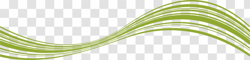 Green Leaf - Grass - Line Transparent PNG